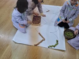 tallerdetrabajoceiplacopa8