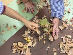 03-SegundoDiaErasmusPlusNaturekids-Talleres5