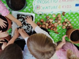 Plantacion-Bulbos-Tulipanes-ProyectoErasmusNature_for_kids-a-Taviano